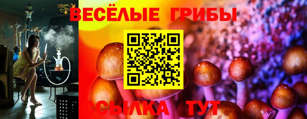 Галлюциногенные грибы Psilocybine cubensis Сертолово